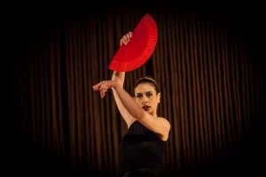 Espaço Flamenco Priscila Grassi